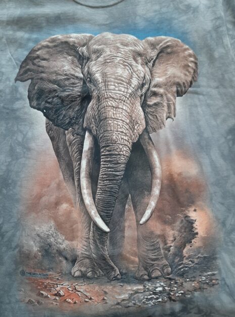 Elefant T-Shirt