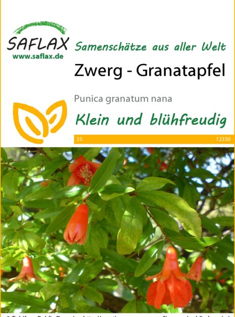 12350-punica-granatum-nana-seed-package-front-cr-german