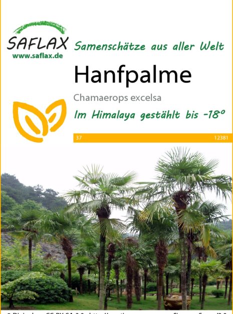 12381-chamaerops-excelsa-seed-package-front-cr-german