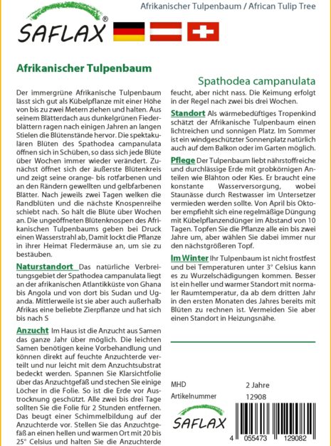 12908-spathodea-campanulata-cultivation-instruction-german