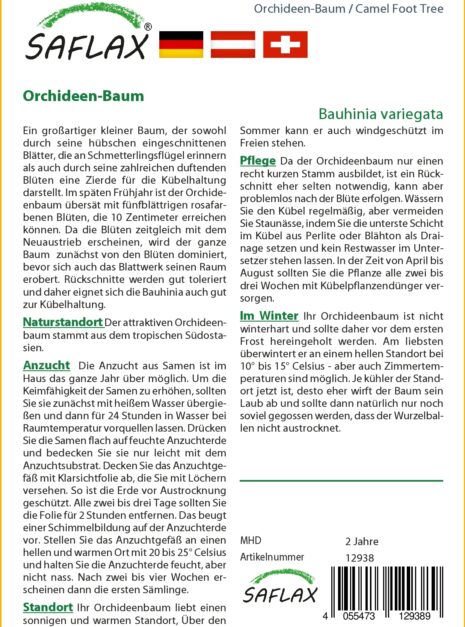 12938-bauhinia-variegata-cultivation-instruction-german