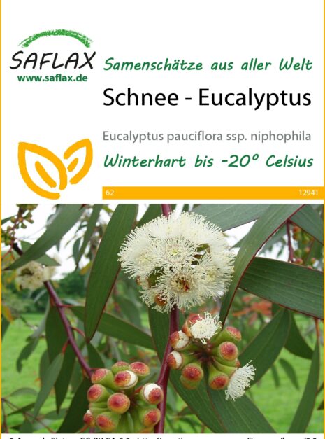 12941-eucalyptus-pauciflora-seed-package-front-cr-german