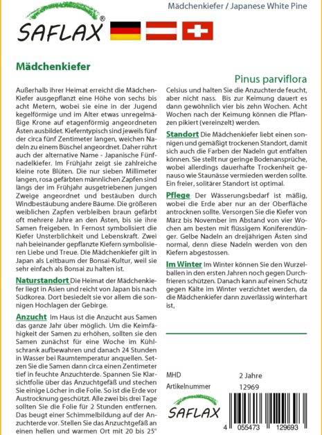 12969-pinus-parviflora-cultivation-instruction-german