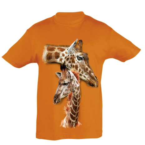 TK0030 Giraffes
