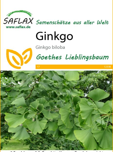 12338-ginkgo-biloba-seed-package-front-cr-german