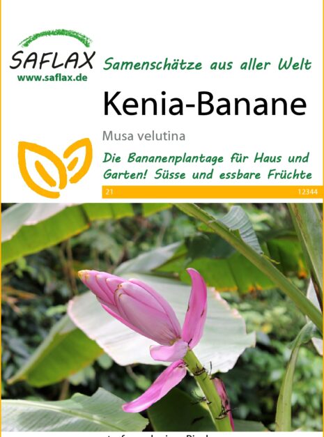 12344-musa-velutina-seed-package-front-cr-german
