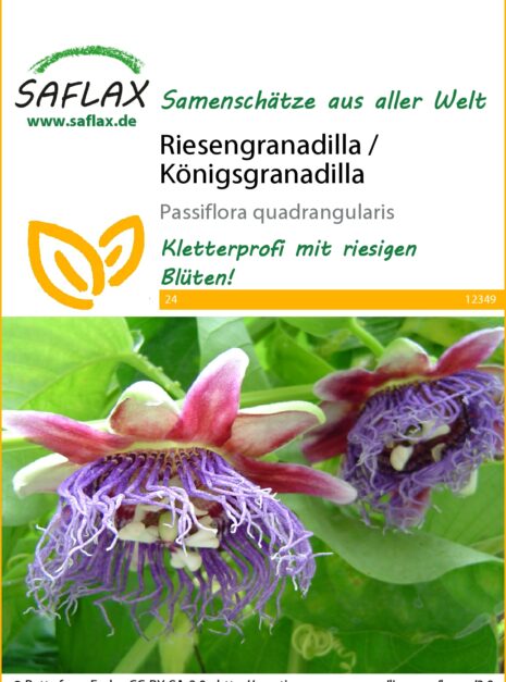 12349-passiflora-quadrangularis-seed-package-front-cr-german