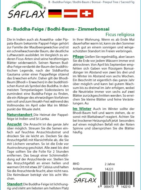 14221-ficus-religiosa-cultivation-instruction-german