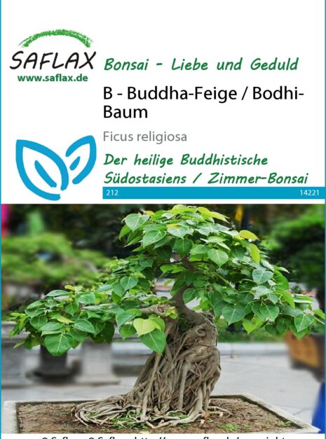 14221-ficus-religiosa-seed-package-front-cr-german