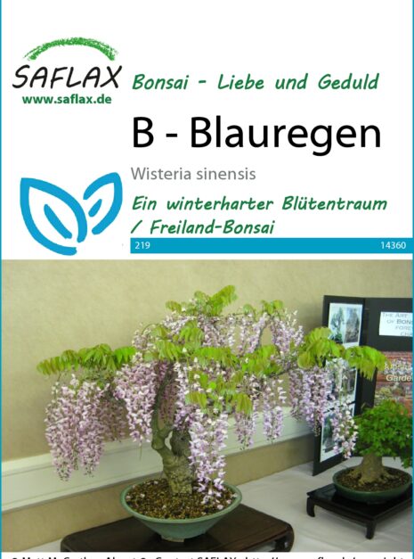 14360-wisteria-sinensis-seed-package-front-cr-german