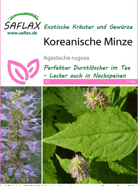 17506-agastache-rugosa-seed-package-front-cr-german