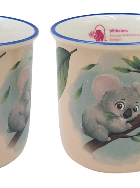 Zoo Stuttgart Koala 2025