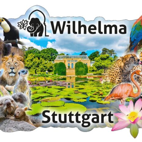 Holzmagnet Wilhelma Seerosenteich Seerose