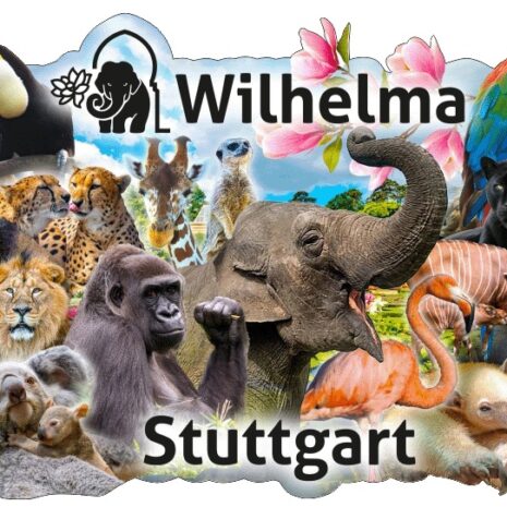 Holzmagnet Wilhelma Tiere Mix