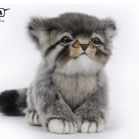 Wilhelma Shop 4 Katze
