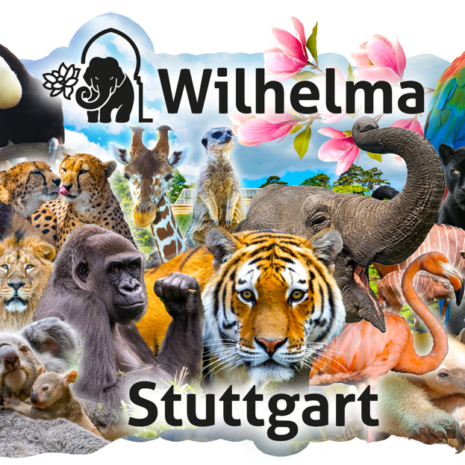 Magnet Wilhelma Tiger Mix