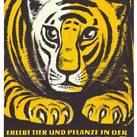 Wilhelma Shop 5 Plakat Tiger Wilhelma