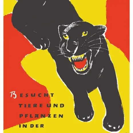 Wilhelma Shop 4 Plakat Panther Wilhelma